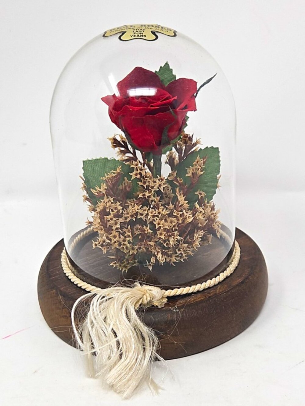 Vintage Lifesake Flowers Real Roses Arrangement Glass Dome Cloche Wood Base 5"